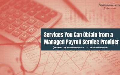 Services You Can Obtain from a Managed Payroll Service Provider