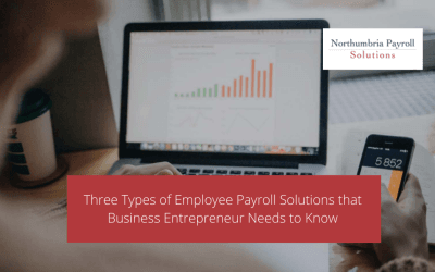 Three Types of Employee Payroll Solutions that Business Entrepreneur Needs to Know