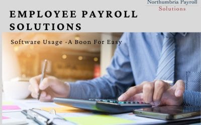 Software Usage – A Boon For Easy Employee Payroll Solutions
