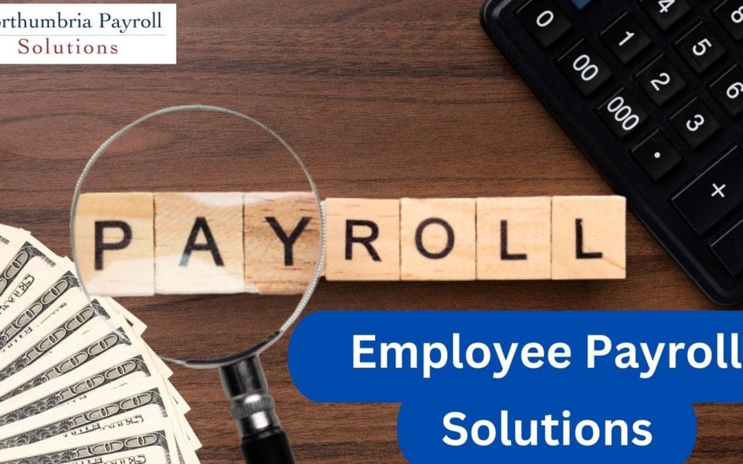 Employee Payroll - Employee Payroll Solutions | HR Payroll in Newcastle