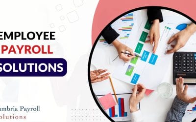 Can an Employee Payroll Solution Benefit a Small Business?